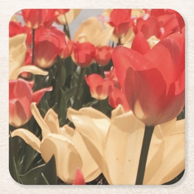 Dessous De Verre Carré Dessous de verre de tulipes d'aquarelle (Devant)
