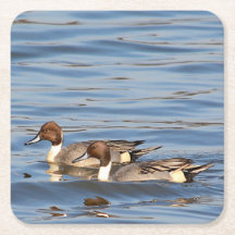 Dessous de verre en papier pour canards à intail