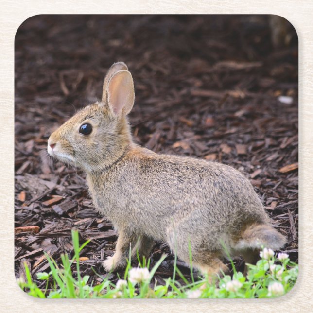 Dessous De Verre Carré Dessous de verre lapin bébé (Devant)