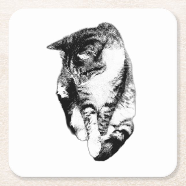 Dessous De Verre Carré Dessous de verre monochrome Tabby Cat (Devant)
