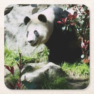 Dessous De Verre Carré Dessous de verre Panda Smile