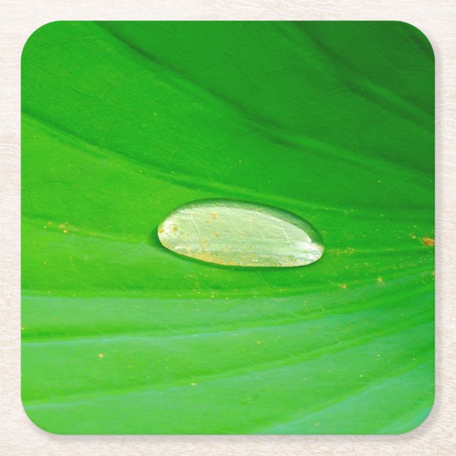 Dessous De Verre Carré Dessous de verre papier Lily Pad (Devant)