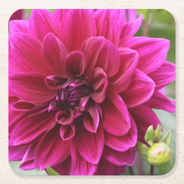 Dessous De Verre Carré Dessous de verre rose Dahlia (Devant)