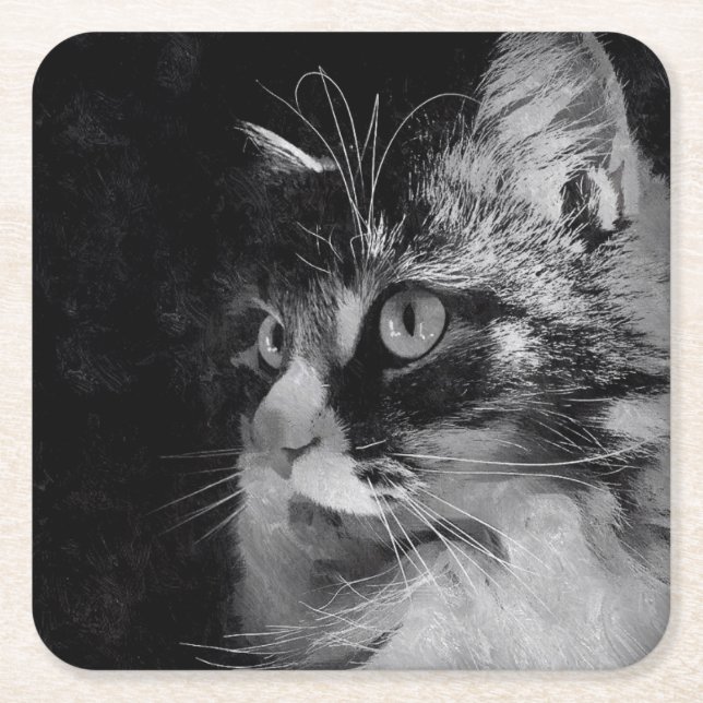 Dessous De Verre Carré Dessous de verre sibériens de chat (Devant)
