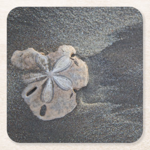 Dessous De Verre Carré Dollar des sables sur le sable