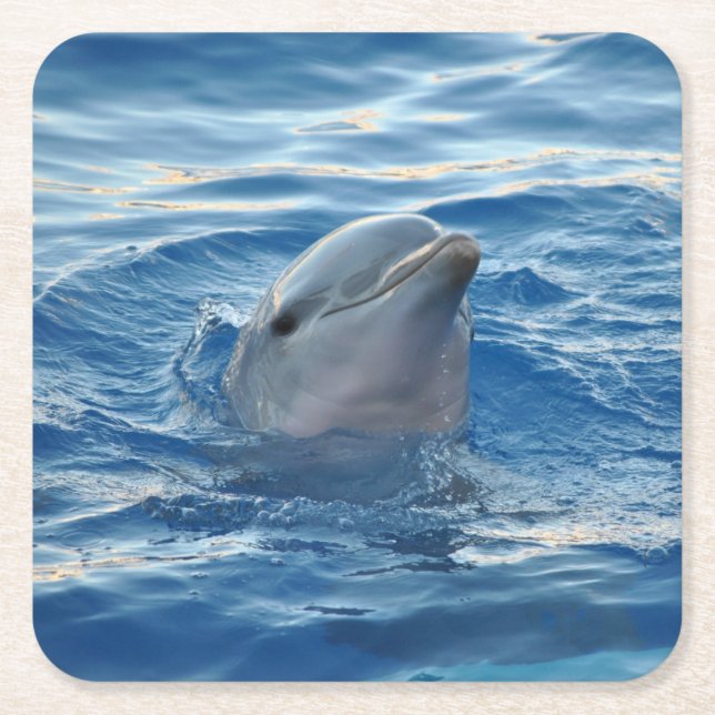 Dessous De Verre Carré Dolphin (Devant)