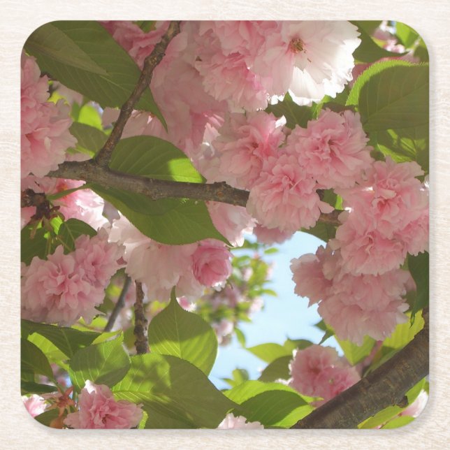 Dessous De Verre Carré Double floraison cerisier III printemps fleuri (Devant)