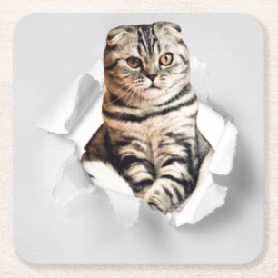 Dessous De Verre Carré Drôle Gray Cat Popping à travers l'illusion du pap