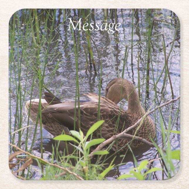 Dessous De Verre Carré Duck Preening in the Reed (Devant)