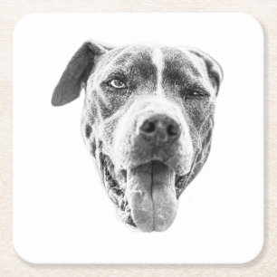 Dessous De Verre Carré Echo Canine Canine Chiline