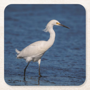Dessous De Verre Carré Egret neigeux sur North Beach