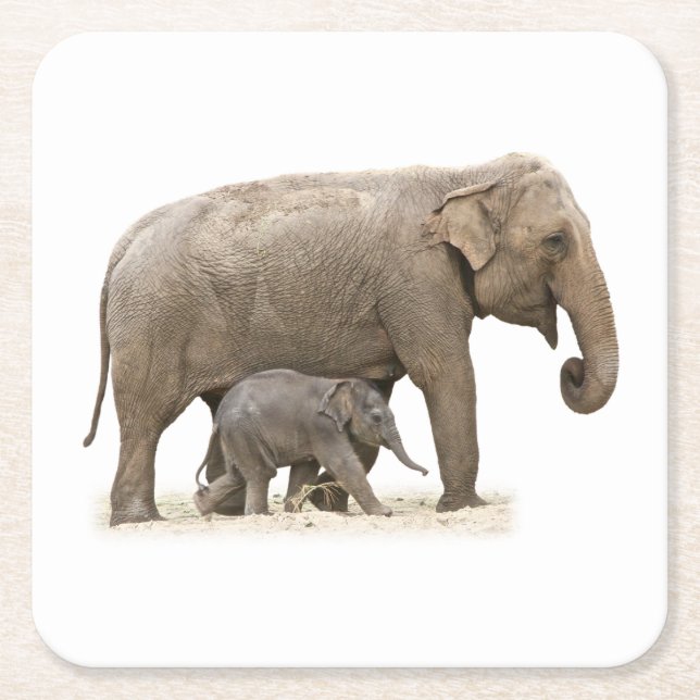 Dessous De Verre Carré Eléphant mère et bébé (Devant)