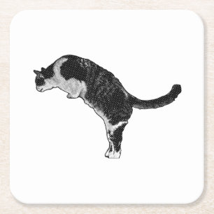 Dessous De Verre Carré Énergie de chat frais