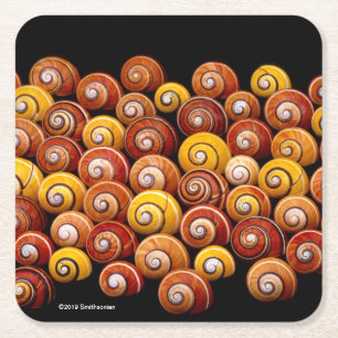 Dessous De Verre Carré Escargots cubains d'arbre