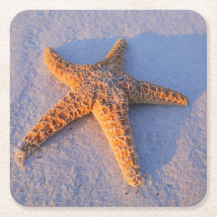 Dessous De Verre Carré Étoiles de mer sur le sable blanc