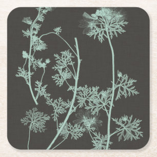 Dessous De Verre Carré Étude de nature de menthe et de charbon de bois IV