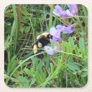 Dessous De Verre Carré F2 Abeille sur Fleur Sauvage Violette