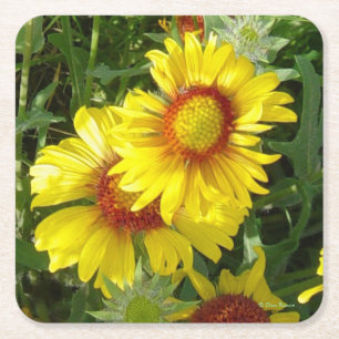 Dessous De Verre Carré F6 Fleurs jaunes sauvages