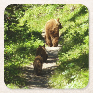 Dessous De Verre Carré Famille d'ours brun