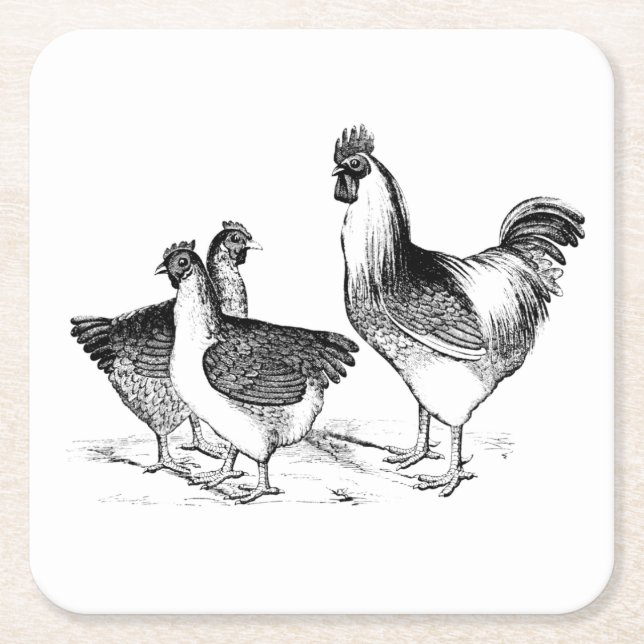 Dessous De Verre Carré Ferme rustique poulet animaux cuisine (Devant)