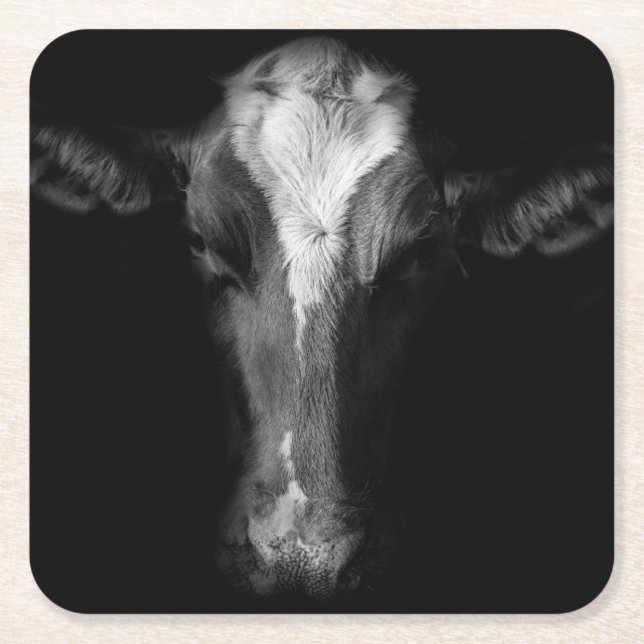 Dessous De Verre Carré Fermes | Tête de vache B&W (Devant)