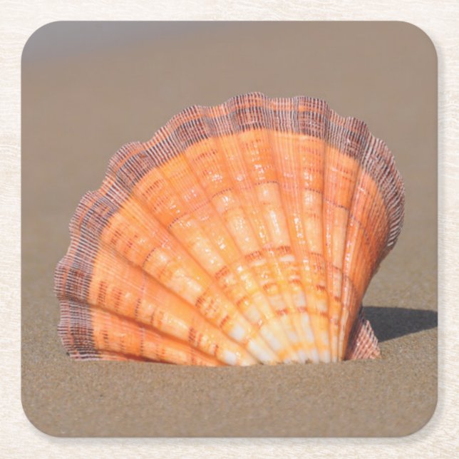 Dessous De Verre Carré Feston Shell| Crète, Grèce (Devant)