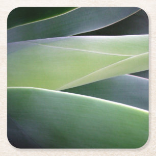 Dessous De Verre Carré Feuille d'agave