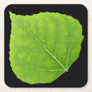 Dessous De Verre Carré Feuille d'Aspen vert #11