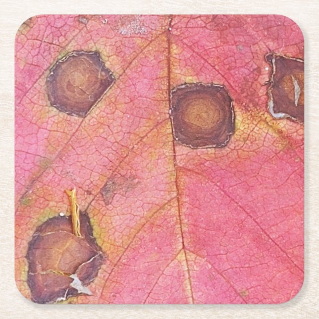 Dessous De Verre Carré Feuille de chute rouge pointillée Brown (Devant)