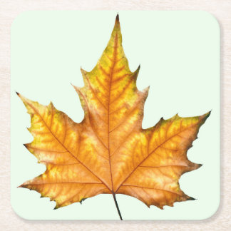 Dessous De Verre Carré Feuille d'érable d'automne