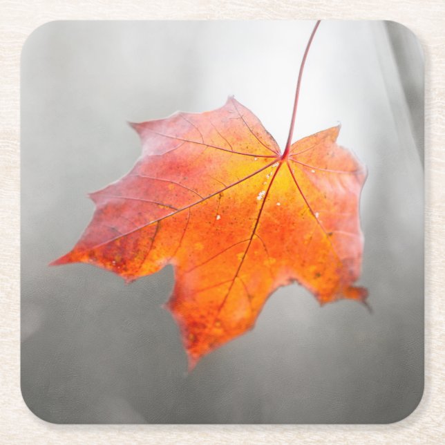 Dessous De Verre Carré Feuille d'érable rouge - automne velours (Devant)