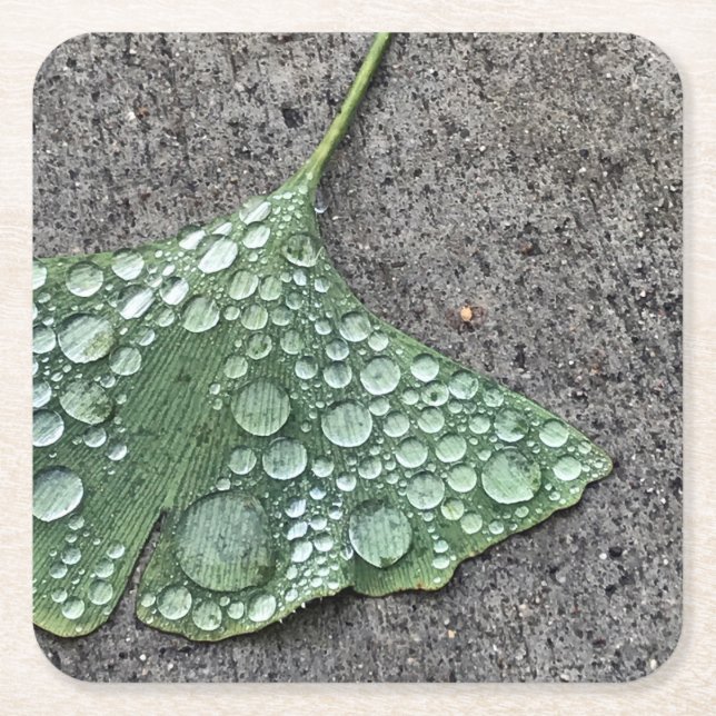 Dessous De Verre Carré Feuille verte Ginko avec gouttelettes d'eau (Devant)