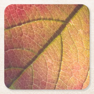 Dessous De Verre Carré Feuilles de automne jaunes et rouges