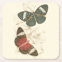 Feuilles de Sepia avec papillons colorés