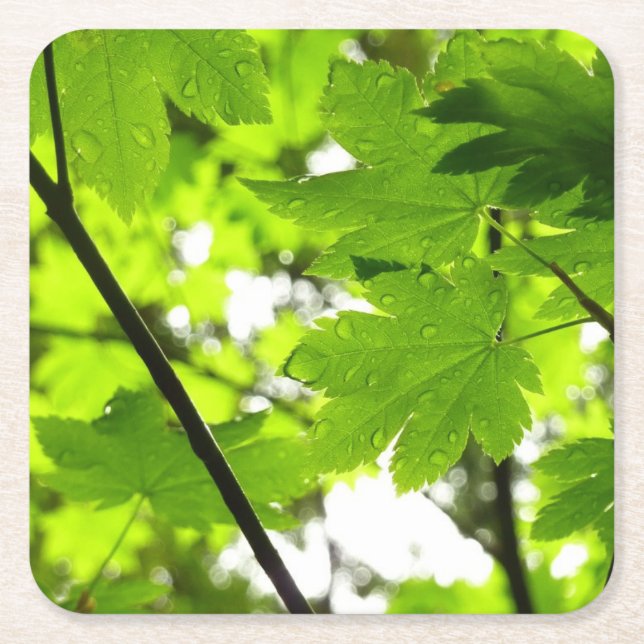 Dessous De Verre Carré Feuilles d'érable avec Raindrops (Devant)