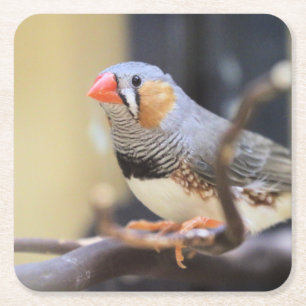 Dessous De Verre Carré Finch