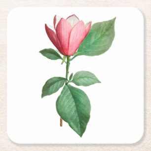 Dessous De Verre Carré Fleur : A001 Lily Magnolia -