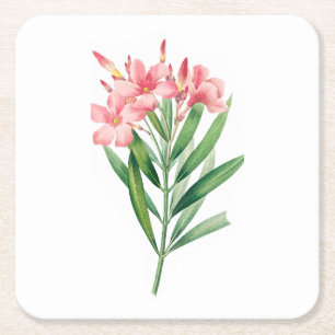 Dessous De Verre Carré Fleur : A005 Oleander -