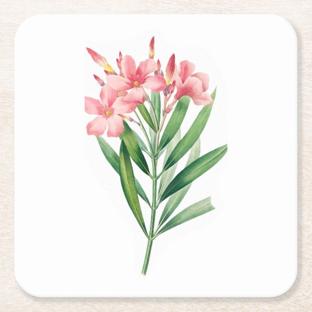 Dessous De Verre Carré Fleur : A005 Oleander - (Devant)