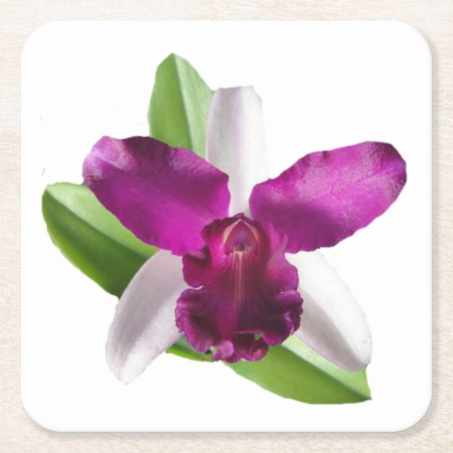 Dessous De Verre Carré Fleur d'orchidée de Cattleya (Devant)