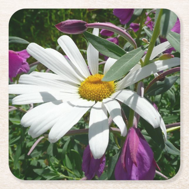 Dessous De Verre Carré Fleur sauvage Daisy et Fireweed (Devant)