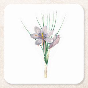 Dessous De Verre Carré Fleurs : A007 Crocus d'automne -