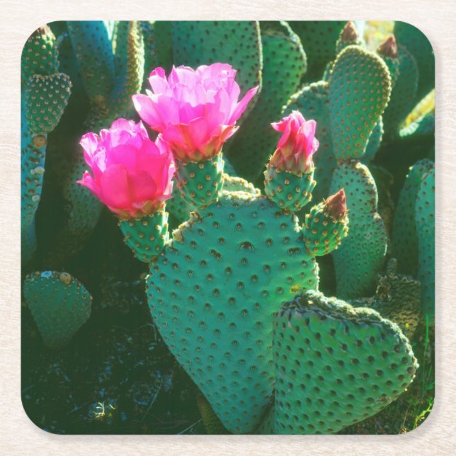 Dessous De Verre Carré Fleurs de cactus à bec (Devant)