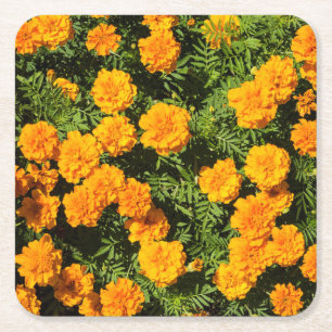 Dessous De Verre Carré Fleurs de Marigre jaune 