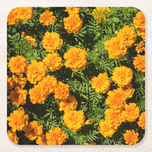 Dessous De Verre Carré Fleurs de Marigre jaune  (Devant)
