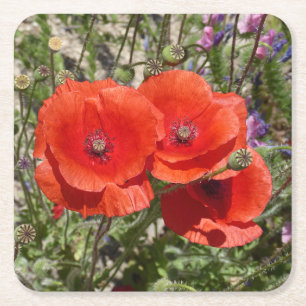 DESSOUS DE VERRE CARRÉ FLEURS DE PAVOT