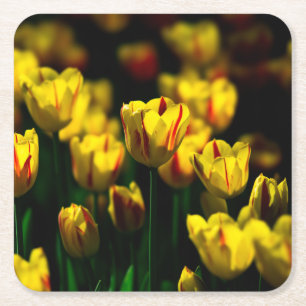 Dessous De Verre Carré Fleurs de tulipe jaune