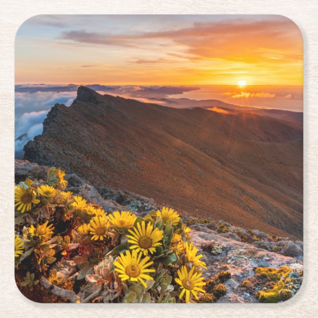 Dessous De Verre Carré Fleurs | Îles Canaries, Espagne (Devant)