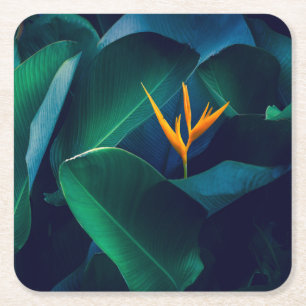 Dessous De Verre Carré Fleurs Oiseau du paradis