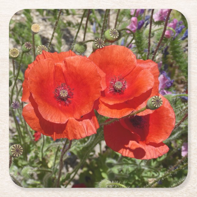 DESSOUS DE VERRE CARRÉ FLEURS POPPY (Devant)
